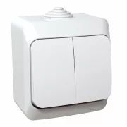 INTRERUPATOR DUBLU 16A PT IP44 ALB