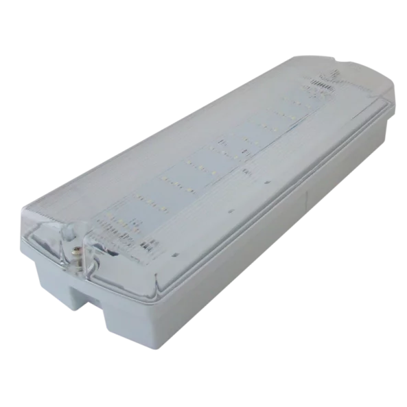CIL DE SIG-EVACUARE CU LED REGIM PERMANENT/ NEPERMANENT TLBVLED30NM