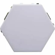 CORP HEXAGONAL MAGNETIC LEDWLN-CRISTAL-1-WL