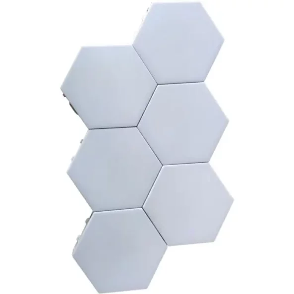 CORP HEXAGONAL MAGNETIC LEDWLN-CRISTAL-6-WL 6BUC