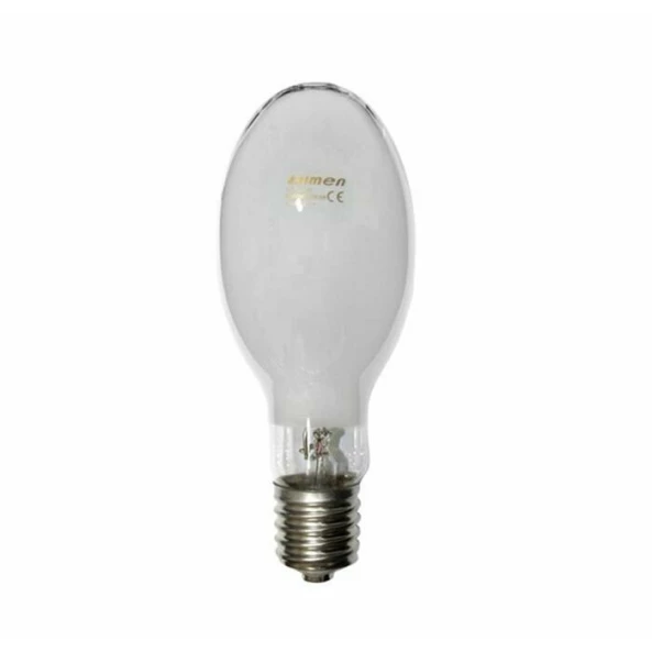 BEC CU VAPORI DE MERCUR (PARA) E40 250W (1Y)