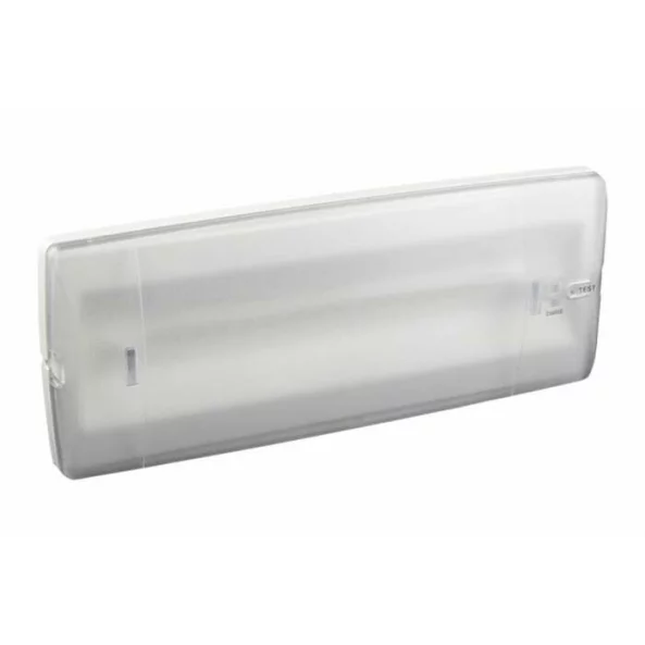 GR-310/12L/180/A CORP.EMERG.LED 3H (M/NM) IP40 38/100LM