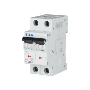 SIGURANTA 2P 20A PL6-C20/2