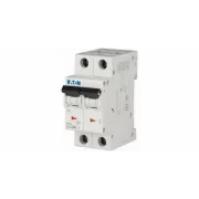 SIGURANTA 2P 40A PL6-C40/2