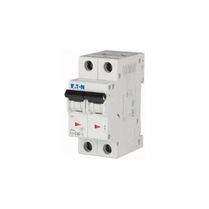 SIGURANTA 2P 40A PL6-C40/2