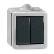 INTRERUPATOR DUBLU PT 10A 250V~ METAL IP55 IK07 ARMOR
