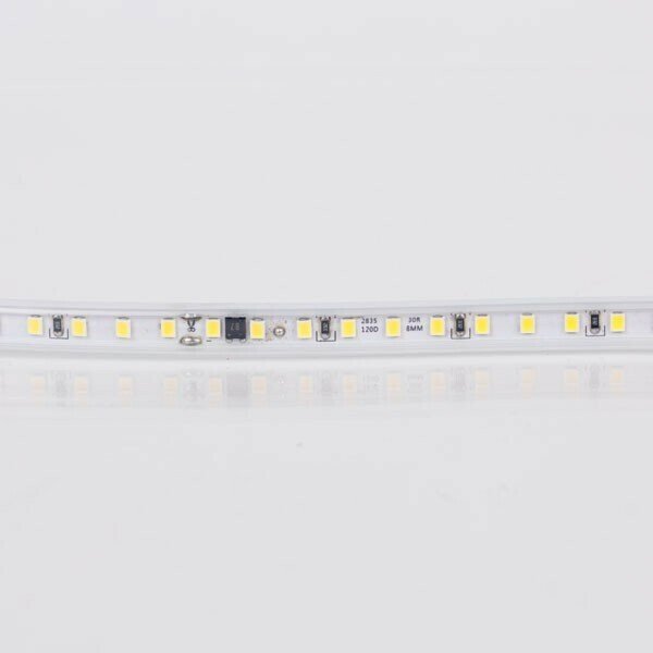 BANDA LED 50M 8W 230V 6500K 120L/M IP65 PLUS - TubIntegral.ro