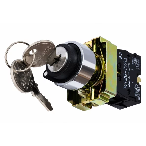 Selector cu cheie si retinere negru 0-1, Freder